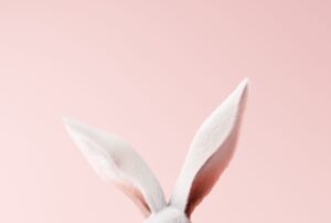 White,Rabbit,Ear,On,Pastel,Pink,Background.,Easter,Day.,3d