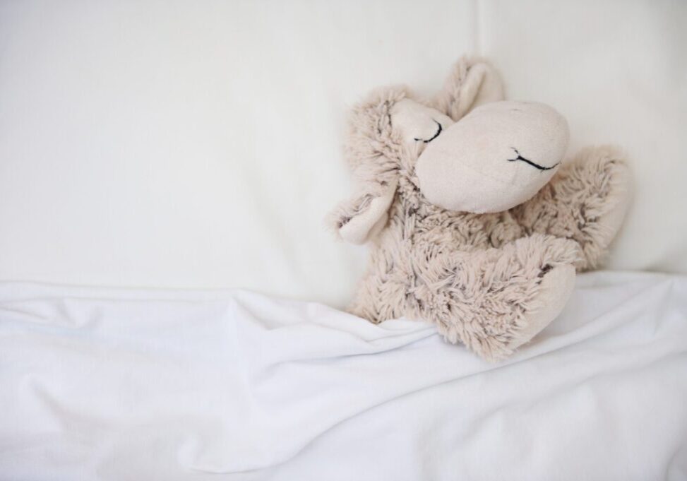 Top,View,Of,A,Cute,Plush,Toy,Sheep,Covered,In