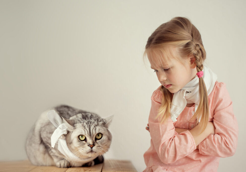 A,Little,Cute,Girl,And,A,Cat,Both,With,A